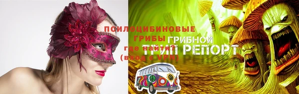 гашиш Касимов